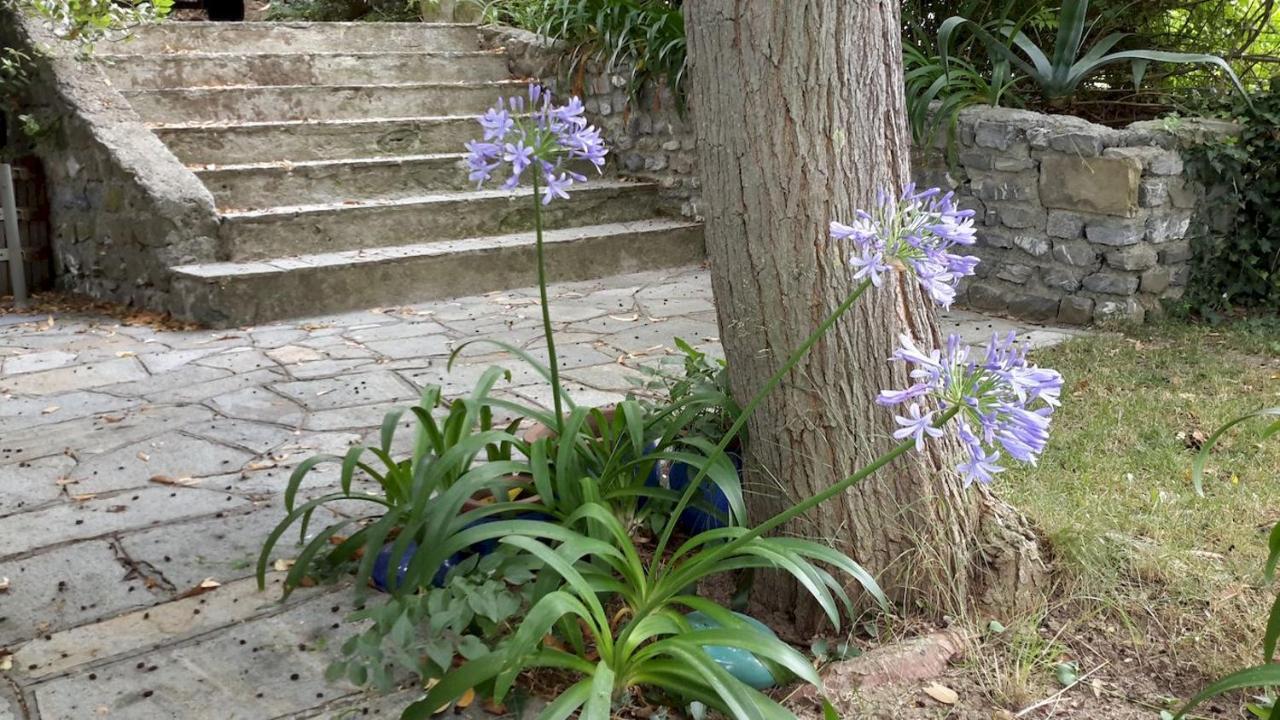 Deliziosa Casetta Con Dehor E Giardino Immersa Nel Verde Ligure Империя Экстерьер фото